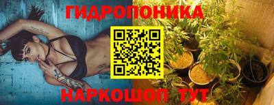 СК Брянск